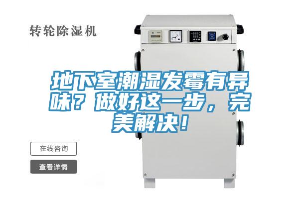 地下室潮濕發霉有異味？做好這一步，完美解決！