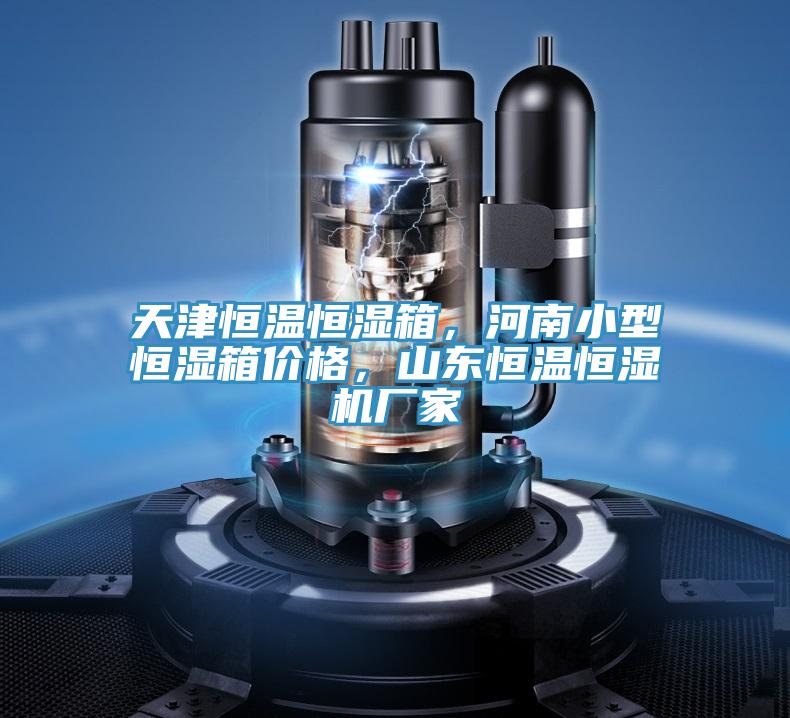 天津恒溫恒濕箱，河南小型恒濕箱價(jià)格，山東恒溫恒濕機(jī)廠家