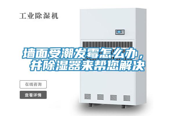 墻面受潮發霉怎么辦，東井除濕器來幫您解決