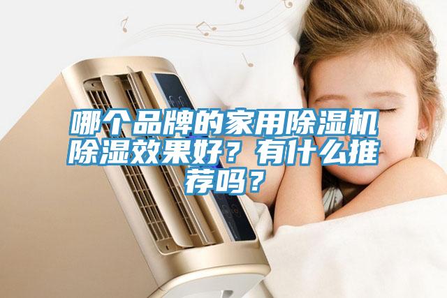 哪個品牌的家用除濕機除濕效果好?有什么推薦嗎?
