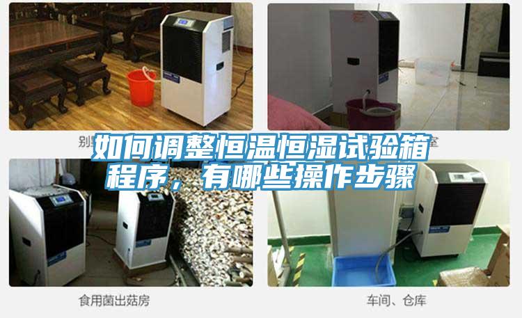 如何調(diào)整恒溫恒濕試驗(yàn)箱程序,有哪些操作步驟
