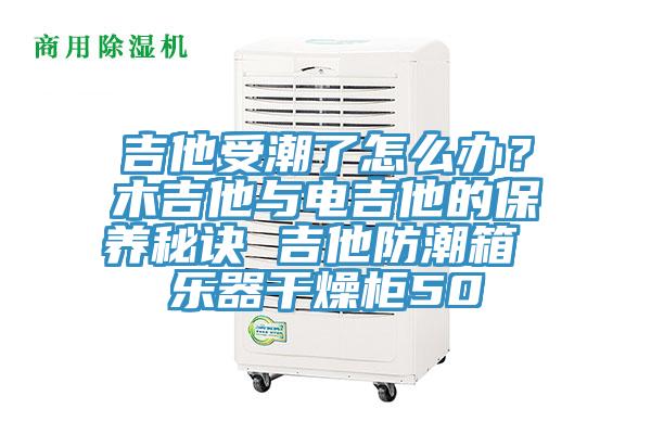 吉他受潮了怎么辦?木吉他與電吉他的保養秘訣 吉他防潮箱 樂器干燥柜50