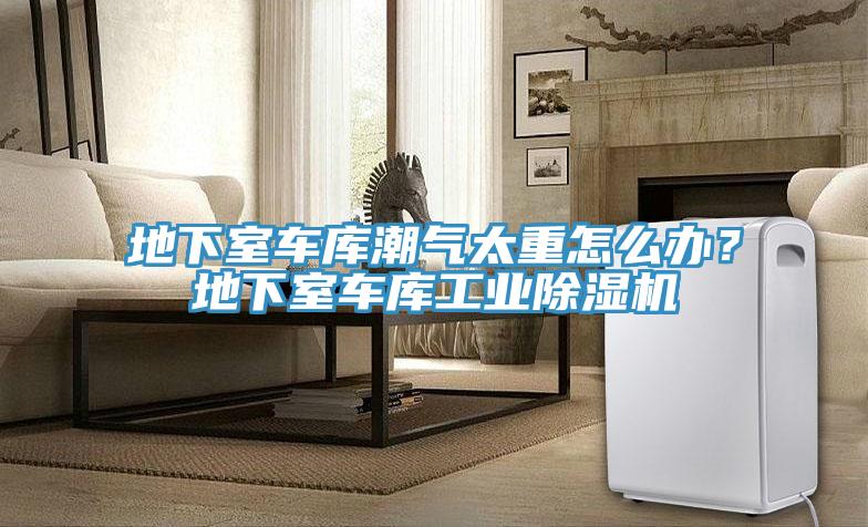 地下室車庫潮氣太重怎么辦?地下室車庫工業除濕機