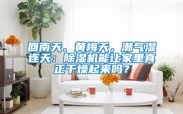 回南天、黃梅天,潮氣濕連天:除濕機能讓家里真正干燥起來嗎?