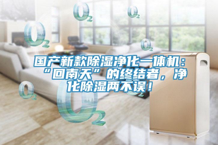 國產新款除濕凈化一體機:“回南天”的終結者,凈化除濕兩不誤!