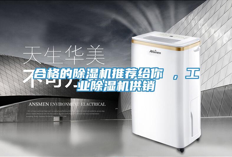 合格的除濕機(jī)推薦給你 ,工業(yè)除濕機(jī)供銷(xiāo)