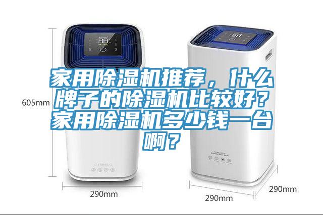 家用除濕機(jī)推薦，什么牌子的除濕機(jī)比較好？家用除濕機(jī)多少錢一臺(tái)啊？