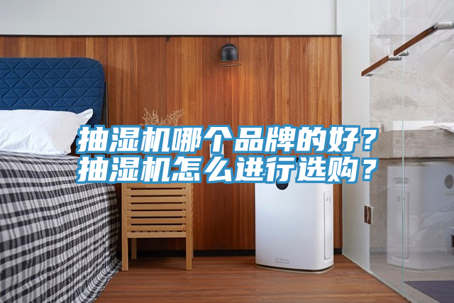 抽濕機哪個品牌的好?抽濕機怎么進行選購?