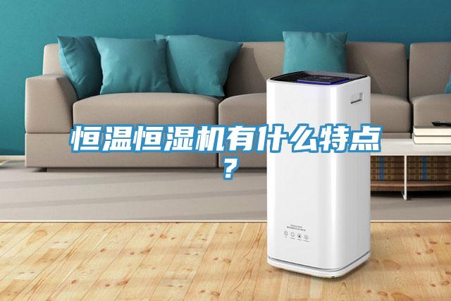 恒溫恒濕機有什么特點？