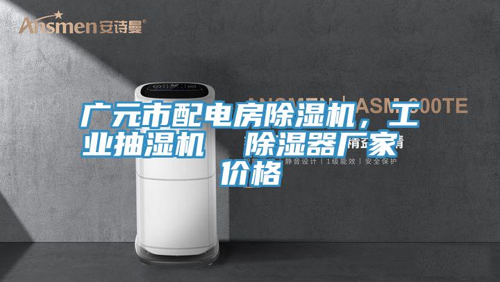 廣元市配電房除濕機(jī),工業(yè)抽濕機(jī) 除濕器廠家 價格