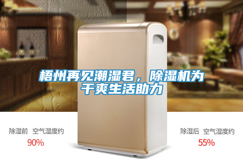 梧州再見潮濕君,除濕機為干爽生活助力