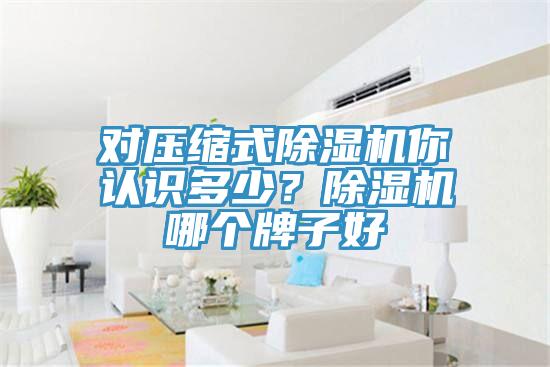 對壓縮式除濕機你認識多少？除濕機哪個牌子好