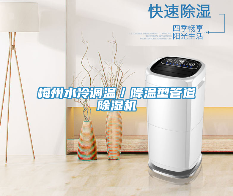 梅州水冷調(diào)溫/降溫型管道除濕機(jī)