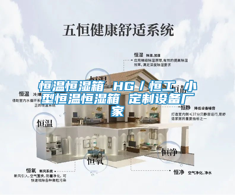 恒溫恒濕箱 HG/恒工 小型恒溫恒濕箱 定制設備廠家
