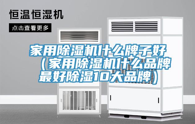 家用除濕機(jī)什么牌子好(家用除濕機(jī)什么品牌最好除濕10大品牌)