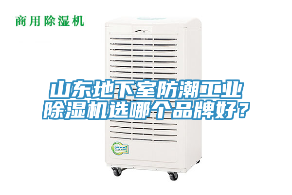 山東地下室防潮工業除濕機選哪個品牌好?