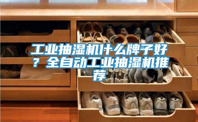 工業(yè)抽濕機(jī)什么牌子好？全自動工業(yè)抽濕機(jī)推薦