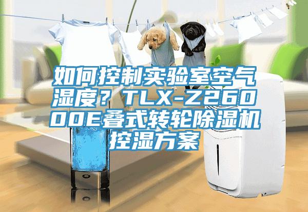 如何控制實驗室空氣濕度？TLX-Z26000E疊式轉(zhuǎn)輪除濕機控濕方案