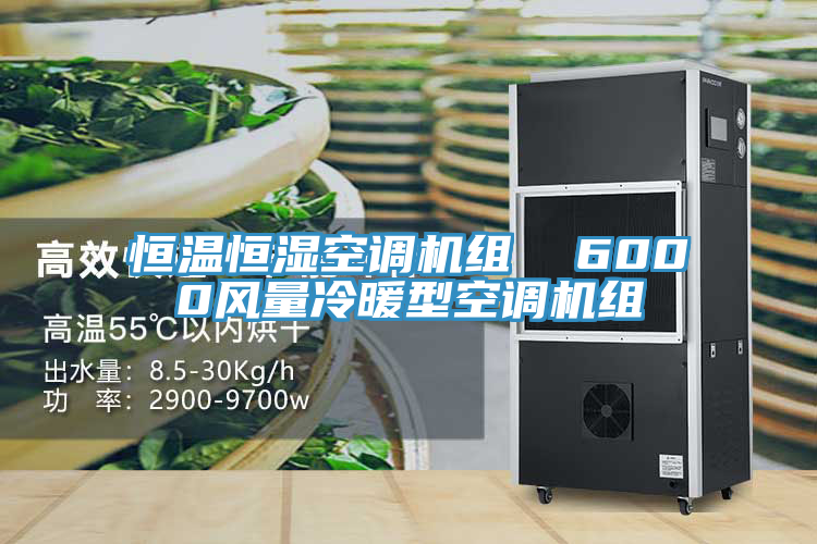 恒溫恒濕空調機組 6000風量冷暖型空調機組