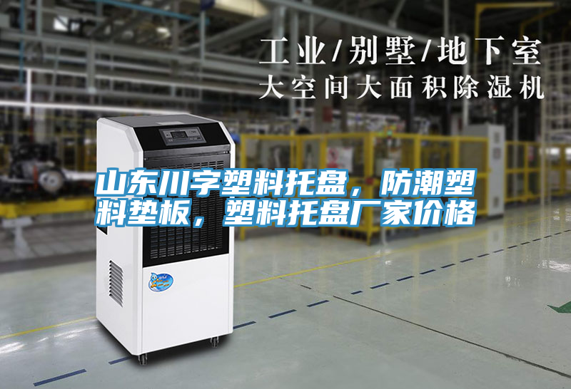 山東川字塑料托盤,防潮塑料墊板,塑料托盤廠家價(jià)格