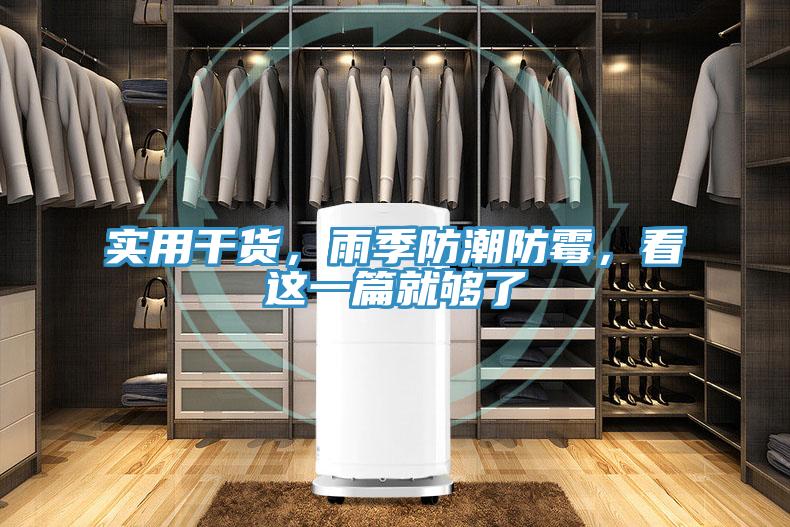 實用干貨,雨季防潮防霉,看這一篇就夠了