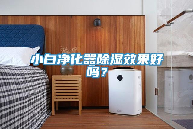 小白凈化器除濕效果好嗎？