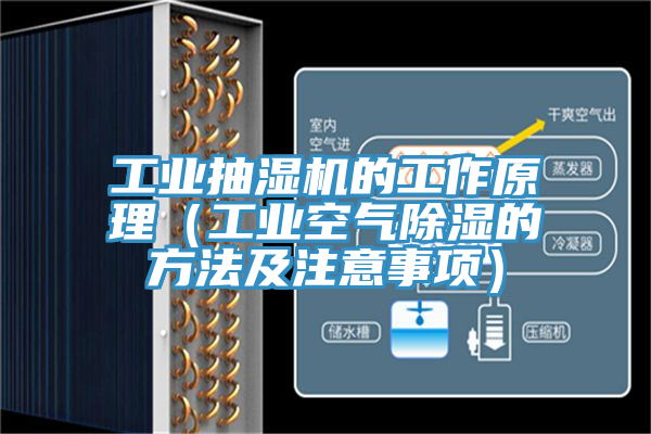 工業抽濕機的工作原理(工業空氣除濕的方法及注意事項)