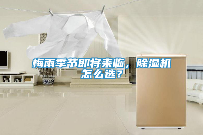 梅雨季節即將來臨,除濕機怎么選?