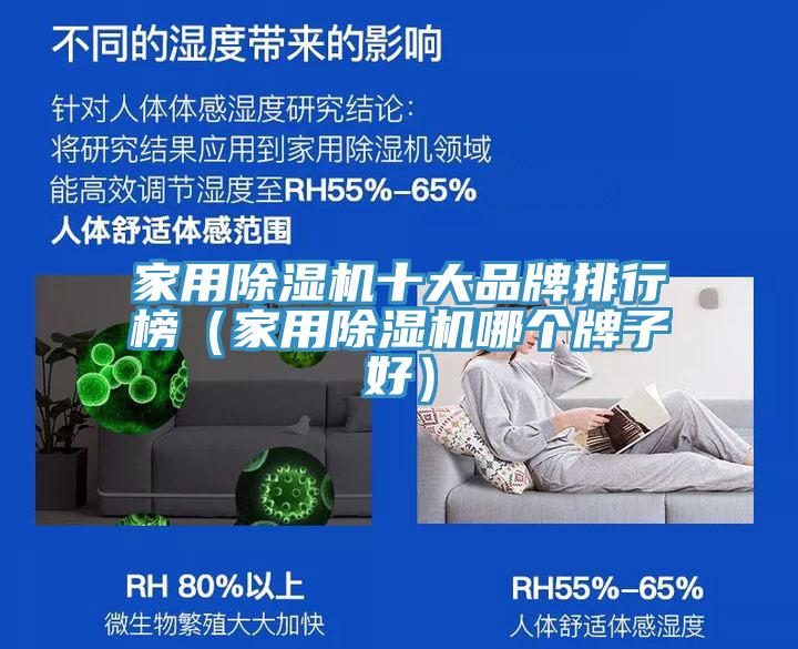 家用除濕機十大品牌排行榜(家用除濕機哪個牌子好)
