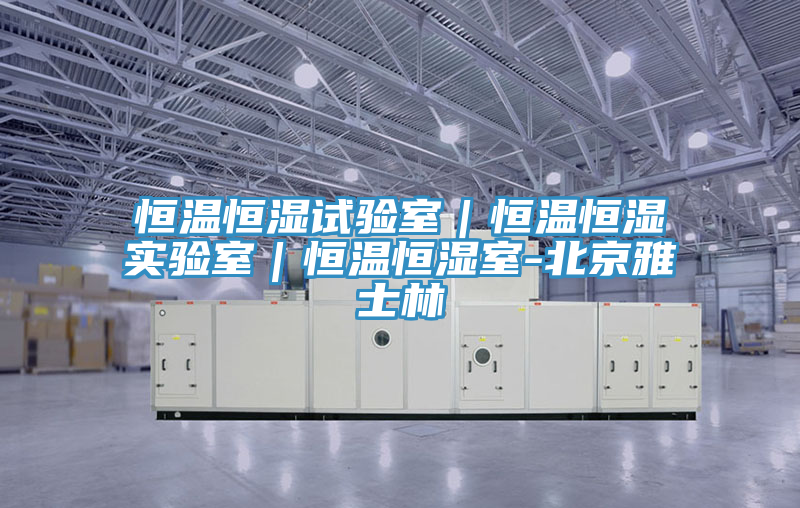 恒溫恒濕試驗室|恒溫恒濕實驗室|恒溫恒濕室-北京雅士林