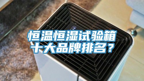 恒溫恒濕試驗(yàn)箱十大品牌排名?