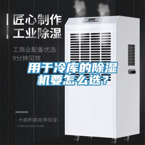 用于冷庫的除濕機要怎么選？