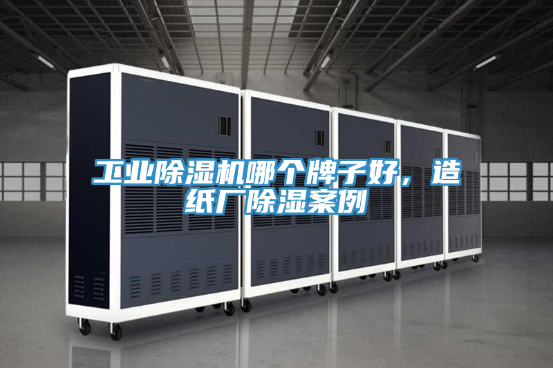 工業除濕機哪個牌子好,造紙廠除濕案例