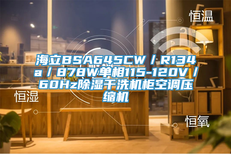 海立BSA645CW/R134a/878W單相115-120V/60Hz除濕干洗機柜空調壓縮機