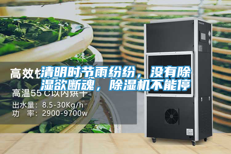 清明時節雨紛紛，沒有除濕欲斷魂，除濕機不能停