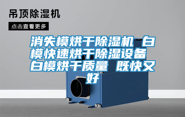 消失模烘干除濕機 白?？焖俸娓沙凉裨O備 白模烘干質量 既快又好