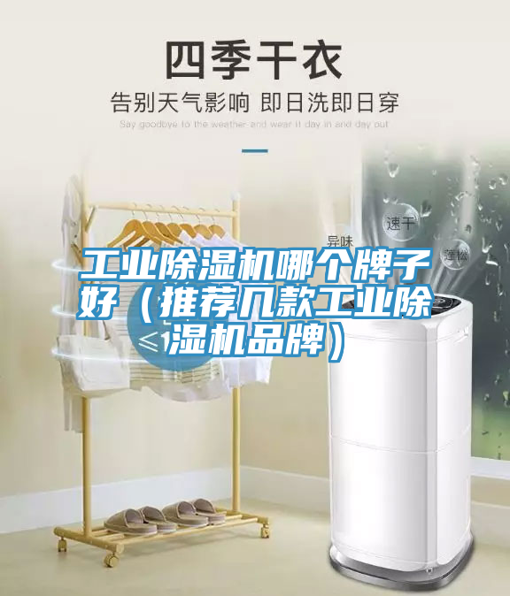 工業除濕機哪個牌子好(推薦幾款工業除濕機品牌)