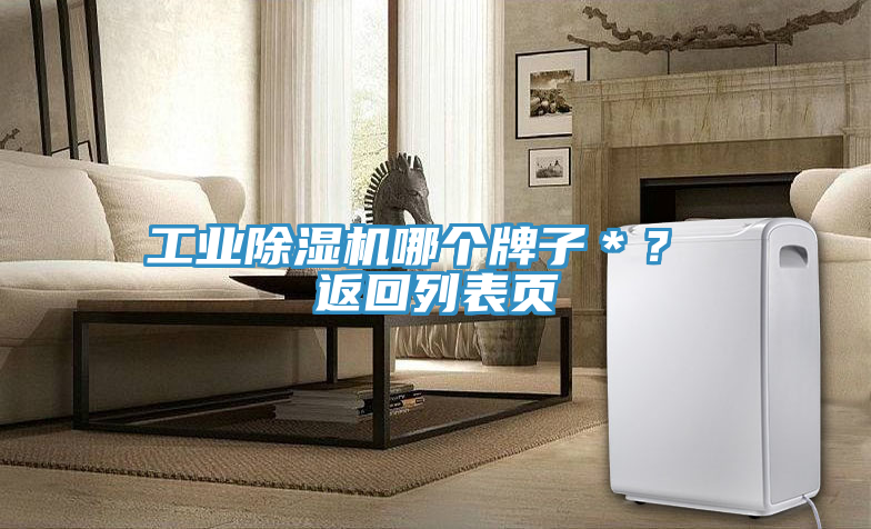 工業除濕機哪個牌子*? 返回列表頁