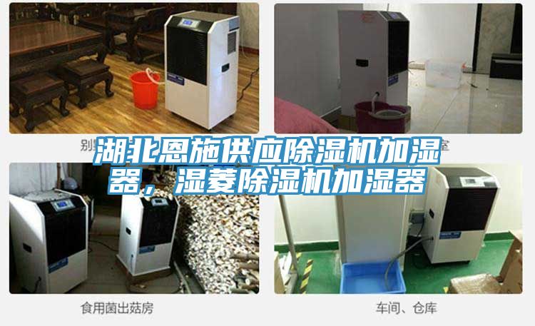 湖北恩施供應(yīng)除濕機(jī)加濕器,濕菱除濕機(jī)加濕器