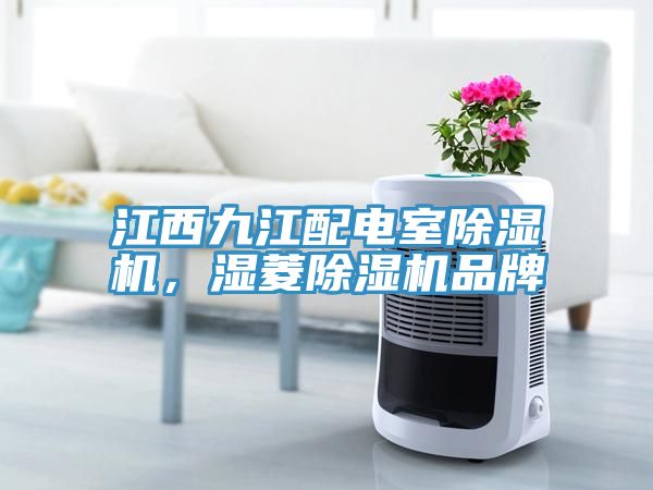 江西九江配電室除濕機(jī)，濕菱除濕機(jī)品牌