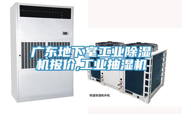 廣東地下室工業(yè)除濕機(jī)報(bào)價,工業(yè)抽濕機(jī)
