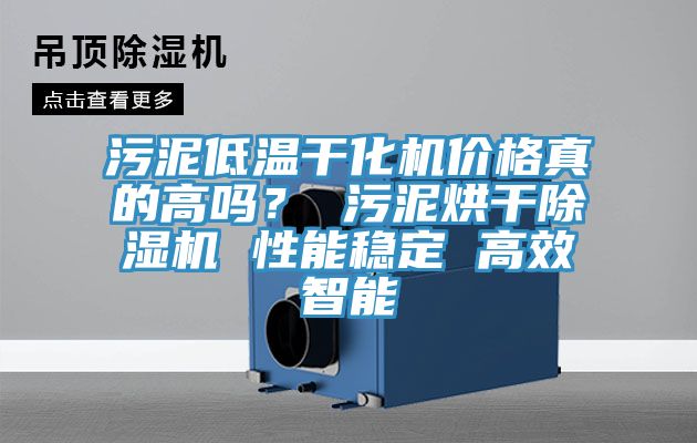 污泥低溫干化機(jī)價(jià)格真的高嗎？ 污泥烘干除濕機(jī) 性能穩(wěn)定 高效智能