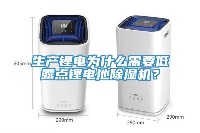 生產(chǎn)鋰電為什么需要低露點鋰電池除濕機(jī)？