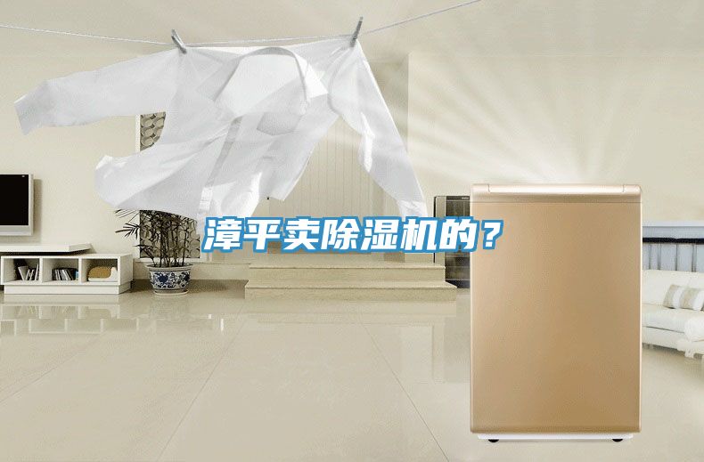 漳平賣除濕機的？