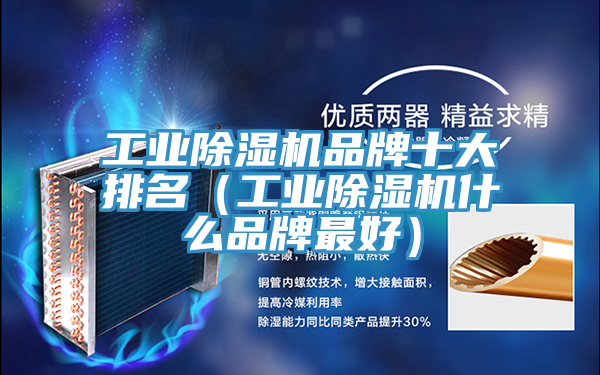 工業(yè)除濕機品牌十大排名(工業(yè)除濕機什么品牌最好)