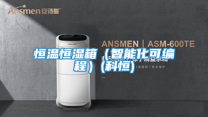 恒溫恒濕箱(智能化可編程)(科恒)