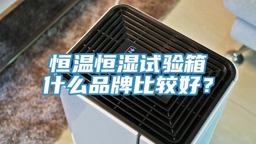 恒溫恒濕試驗箱什么品牌比較好?