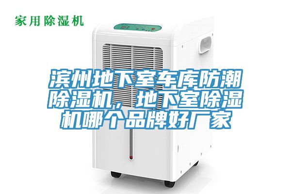 濱州地下室車庫防潮除濕機(jī)，地下室除濕機(jī)哪個品牌好廠家