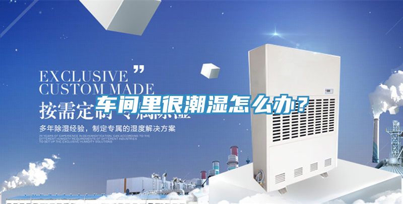 車間里很潮濕怎么辦?