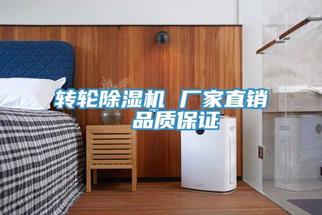 轉(zhuǎn)輪除濕機 廠家直銷 品質(zhì)保證
